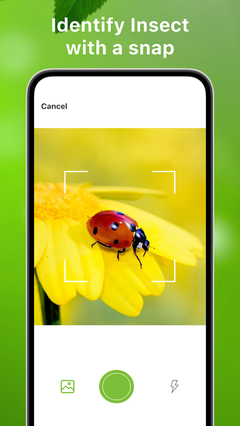 Bug Identifier Bug Finder - عکس برنامه موبایلی اندروید