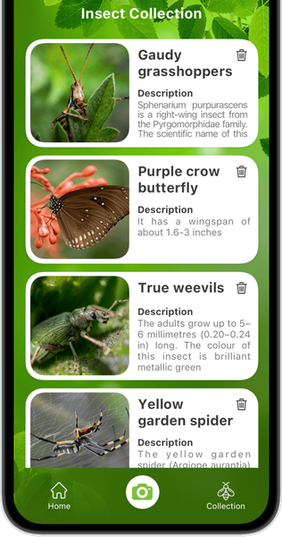 Bug Identifier Bug Finder - عکس برنامه موبایلی اندروید