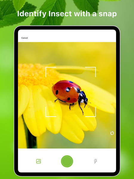 Bug Identifier Bug Finder - عکس برنامه موبایلی اندروید