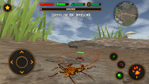 Life of Phrynus - Whip Spider - Image screenshot of android app