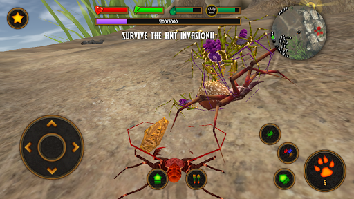 Life of Phrynus - Whip Spider - Image screenshot of android app