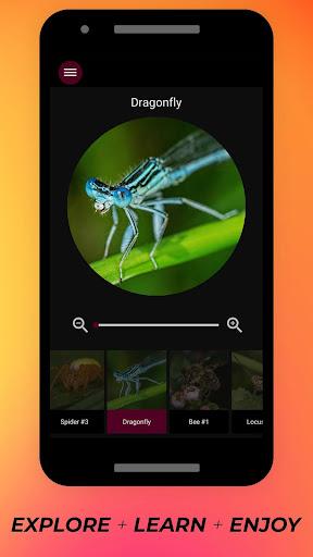 Insects Under Microscope - Image screenshot of android app