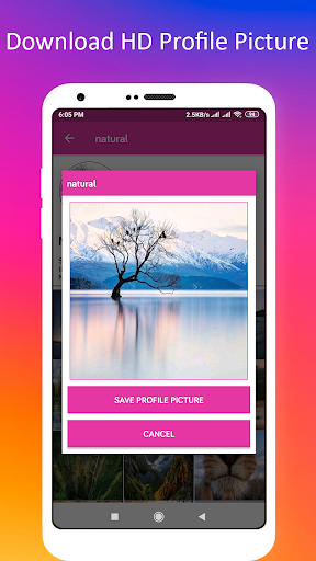 Profile Picture Downloader for Instagram - عکس برنامه موبایلی اندروید