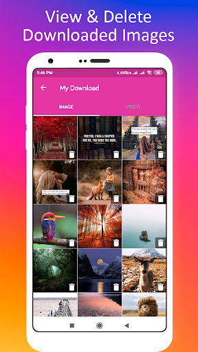 Profile Picture Downloader for Instagram - عکس برنامه موبایلی اندروید