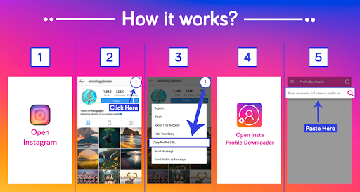 Profile Picture Downloader for Instagram - عکس برنامه موبایلی اندروید