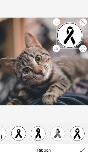 Black Ribbon - عکس برنامه موبایلی اندروید