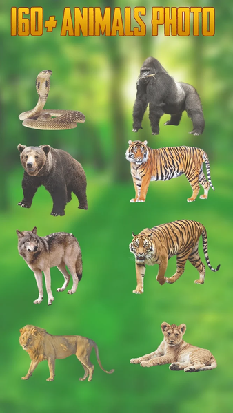 Wild Animal In Photo Camera - عکس برنامه موبایلی اندروید