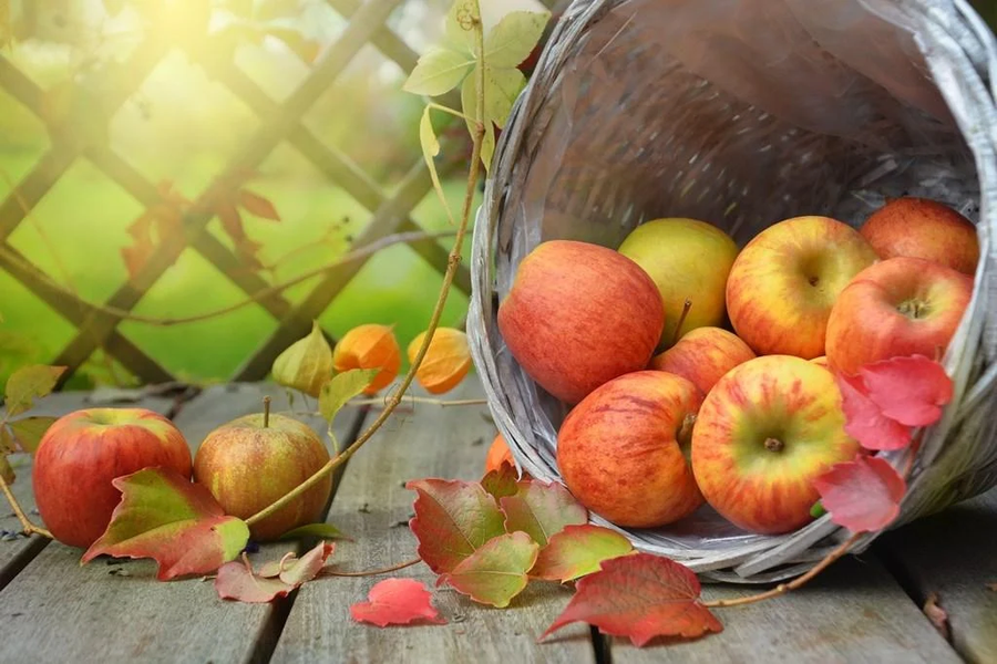 Apples wallpapers - عکس برنامه موبایلی اندروید