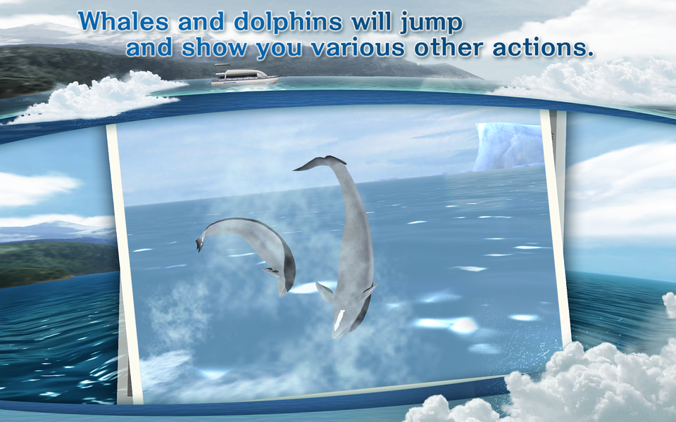 REAL WHALES Find the cetacean. - عکس بازی موبایلی اندروید