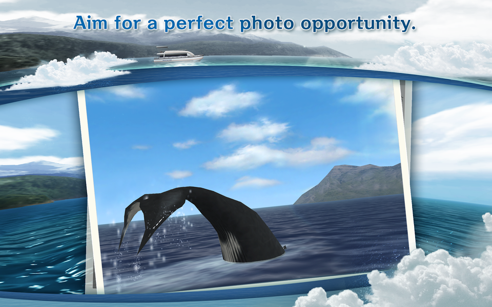 REAL WHALES Find the cetacean. - عکس بازی موبایلی اندروید
