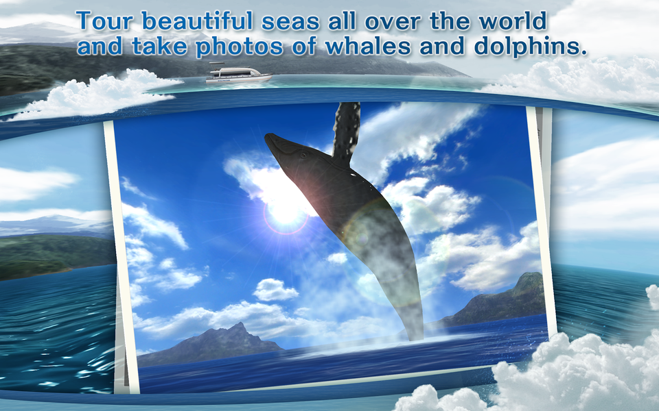 REAL WHALES Find the cetacean. - عکس بازی موبایلی اندروید