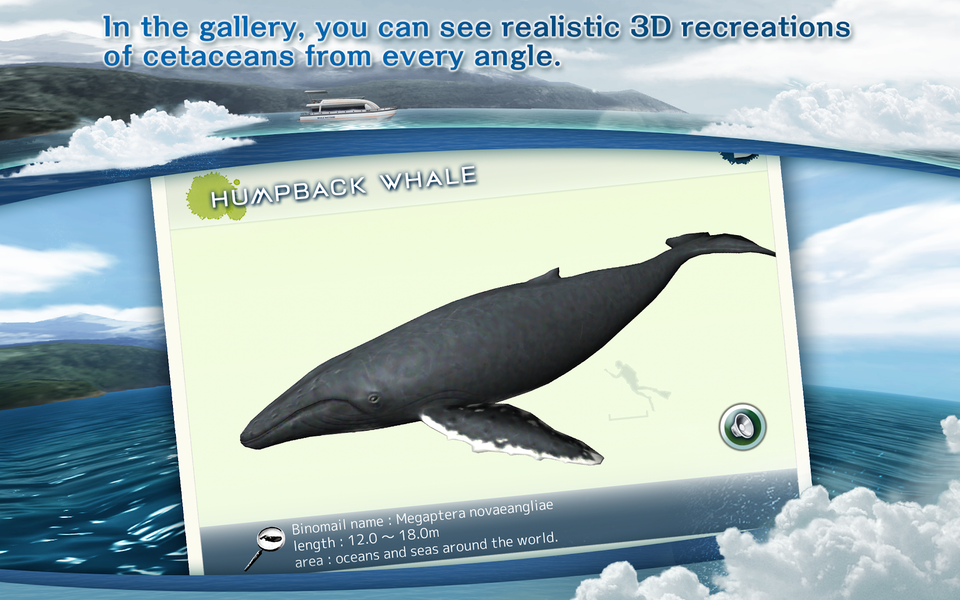 REAL WHALES Find the cetacean. - عکس بازی موبایلی اندروید