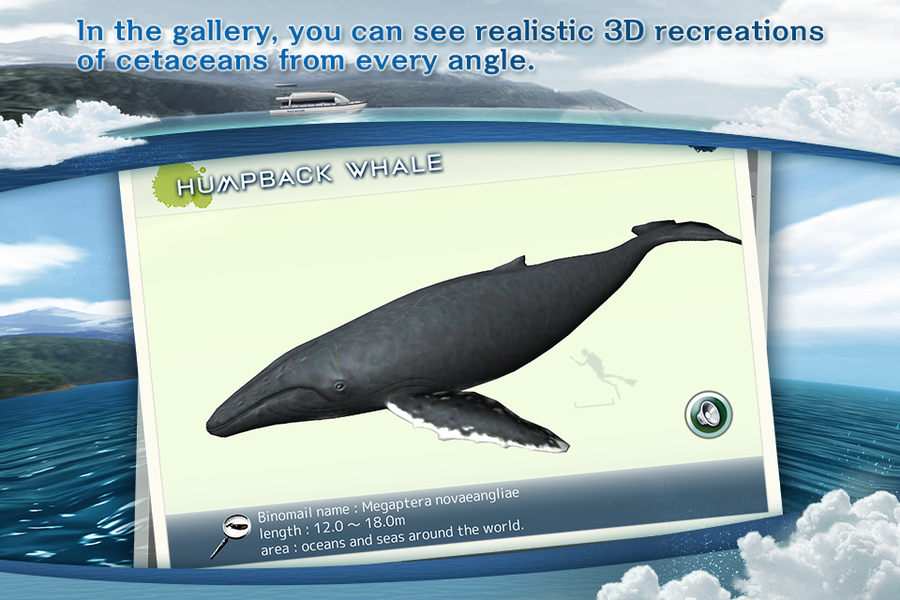 REAL WHALES Find the cetacean. - عکس بازی موبایلی اندروید