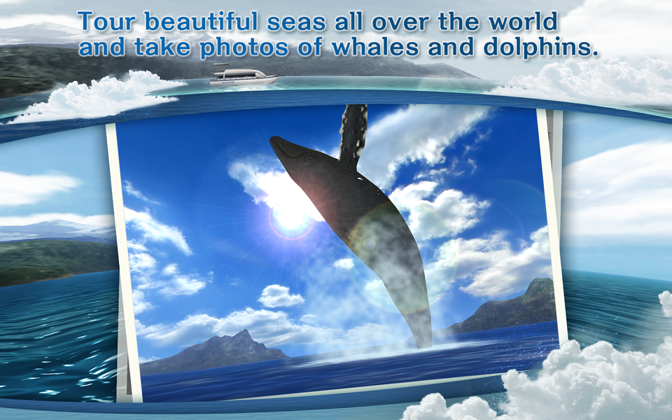 REAL WHALES Find the cetacean. - عکس بازی موبایلی اندروید