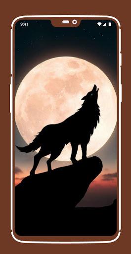 Wolf Wallpapers - عکس برنامه موبایلی اندروید