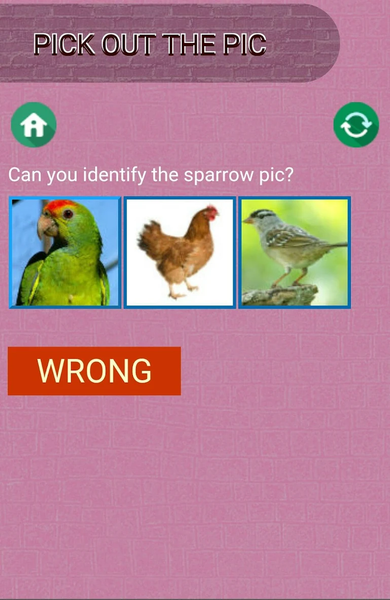 Pic Quiz Game - Image screenshot of android app