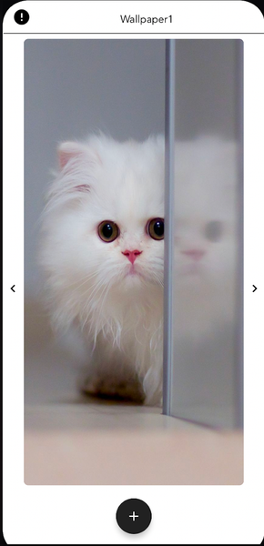 Kitten Wallpapers HD - Image screenshot of android app