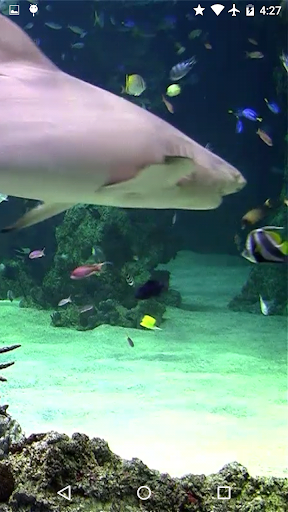 Video Wallpaper: Aquarium - Image screenshot of android app