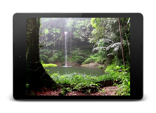 Tropical Rain Video Wallpaper - Image screenshot of android app