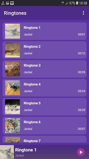 Jackal - RINGTONES and WALLPAPERS - Image screenshot of android app