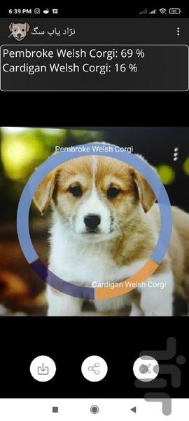 Find Dog Breeds With AI - Image screenshot of android app