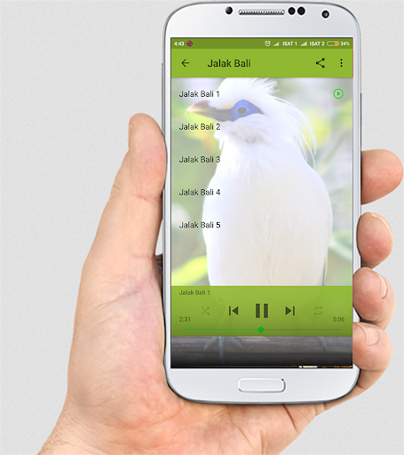 MASTER KICAU JALAK NIAS LENGKAP - Image screenshot of android app