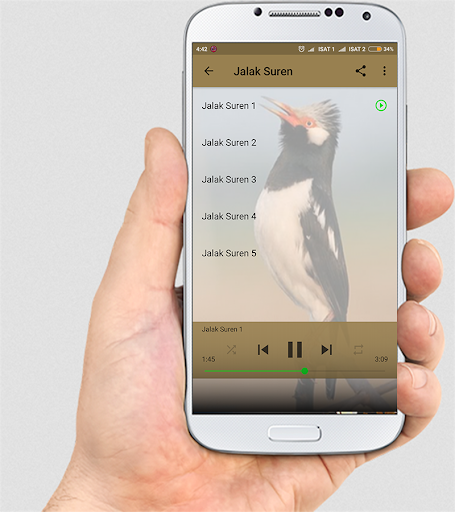 MASTER KICAU JALAK NIAS LENGKAP - Image screenshot of android app