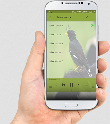 MASTER KICAU JALAK NIAS LENGKAP - Image screenshot of android app