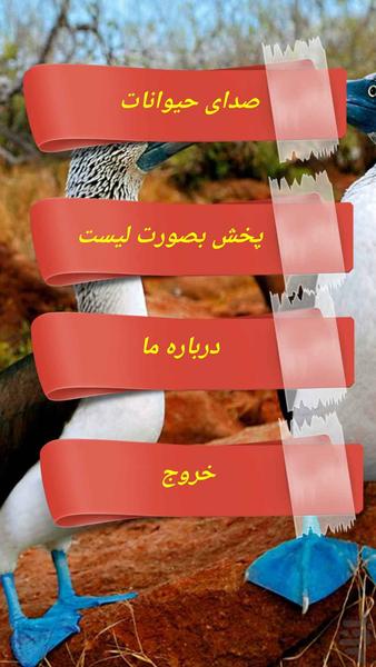 صدای حیوانات با تصاویر زیبا (HD) - عکس برنامه موبایلی اندروید