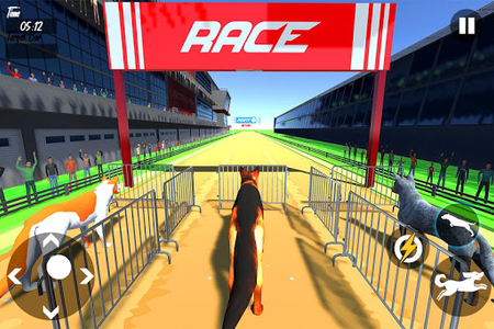 Crazy Dog Race 3D Simulation Android Gameplay ᴴᴰ 