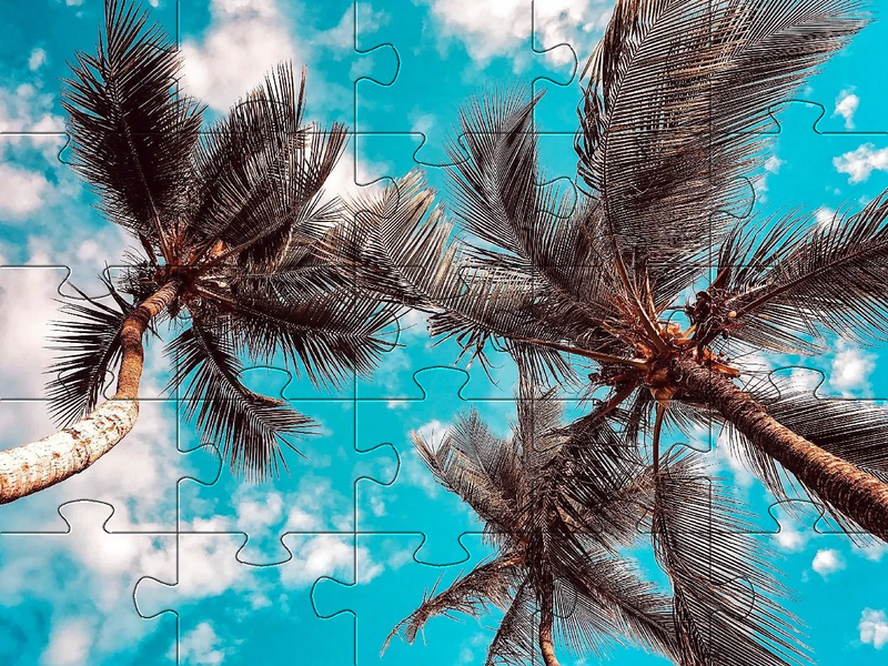 Jigsaw puzzle without internet - عکس بازی موبایلی اندروید