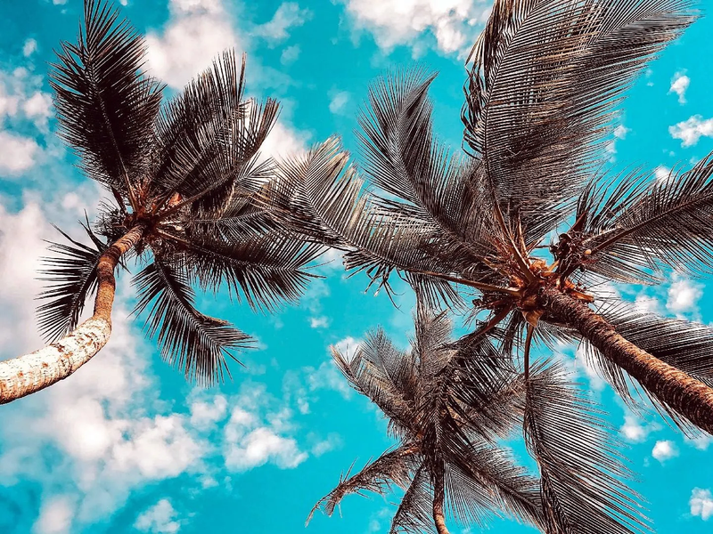 Jigsaw puzzle without internet - عکس بازی موبایلی اندروید