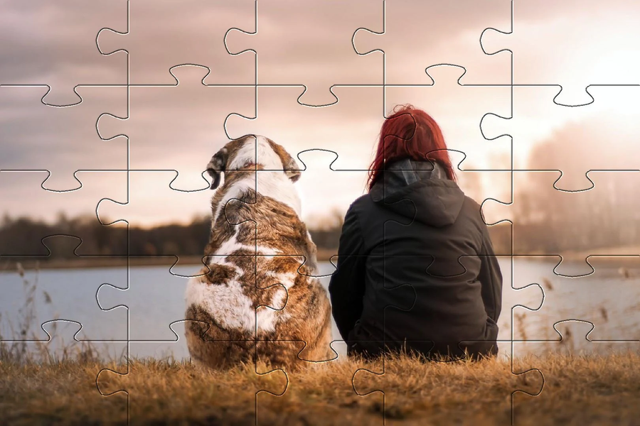 Jigsaw puzzle without internet - عکس بازی موبایلی اندروید