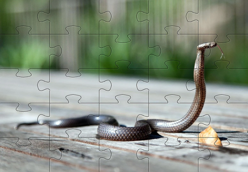 Snake games jigsaw puzzles - عکس بازی موبایلی اندروید