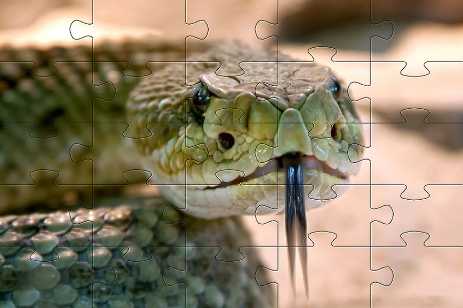 Snake games jigsaw puzzles - Gameplay image of android game