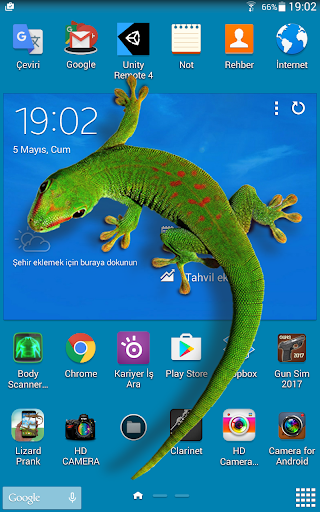 Lizard  on phone  prank - عکس برنامه موبایلی اندروید