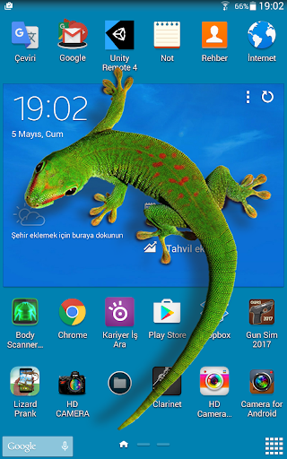 Lizard  on phone  prank - Image screenshot of android app