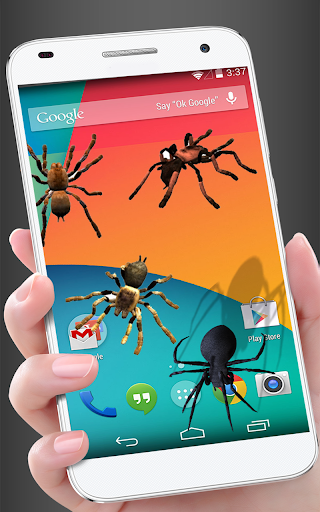 Spider in phone funny joke - Image screenshot of android app