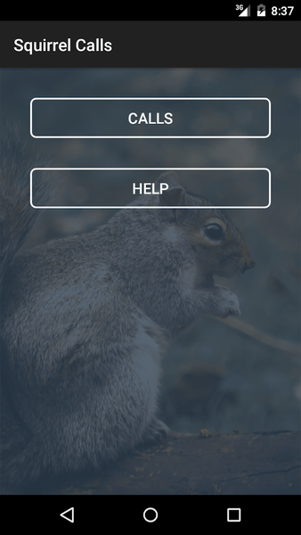 Squirrel Calls - عکس برنامه موبایلی اندروید