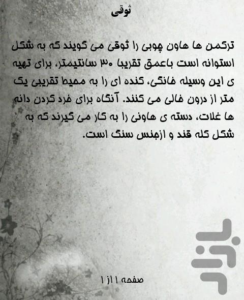 Persian  to Turkmen sentences - Image screenshot of android app