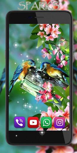 Beauty Birds - عکس برنامه موبایلی اندروید