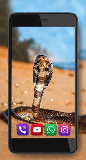 Snake Sounds Live Wallpaper - Image screenshot of android app