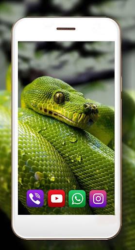 Snake Sounds Live Wallpaper - Image screenshot of android app