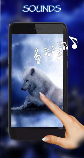 Wolves Night Live Wallpaper - Image screenshot of android app