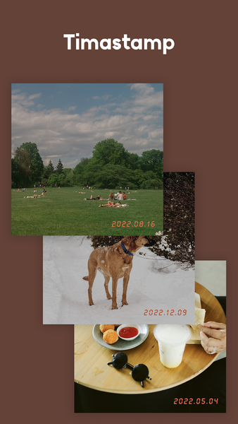 VASE CAMERA-TULIP/PHOTO EDITOR - عکس برنامه موبایلی اندروید