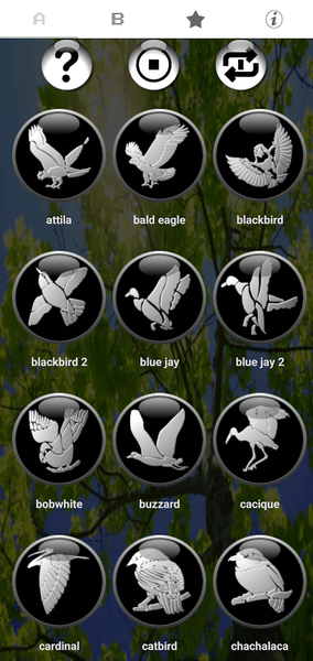 Classic Real Bird Ringtones - Image screenshot of android app