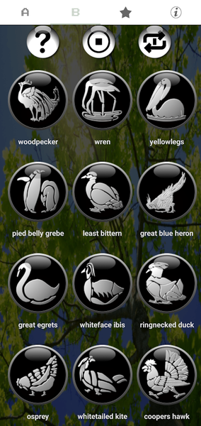 Classic Real Bird Ringtones - Image screenshot of android app