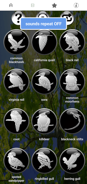 Classic Real Bird Ringtones - Image screenshot of android app