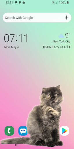 Cat Walks in Phone Cute Joke - Image screenshot of android app