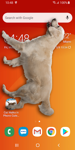 Dog on Screen Woof Woof Joke - Image screenshot of android app